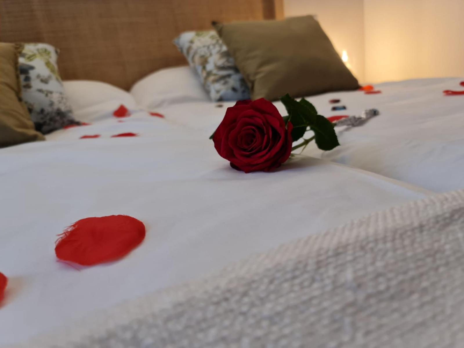 Hotel Camino De Las Estrellas Serranillos Eksteriør billede